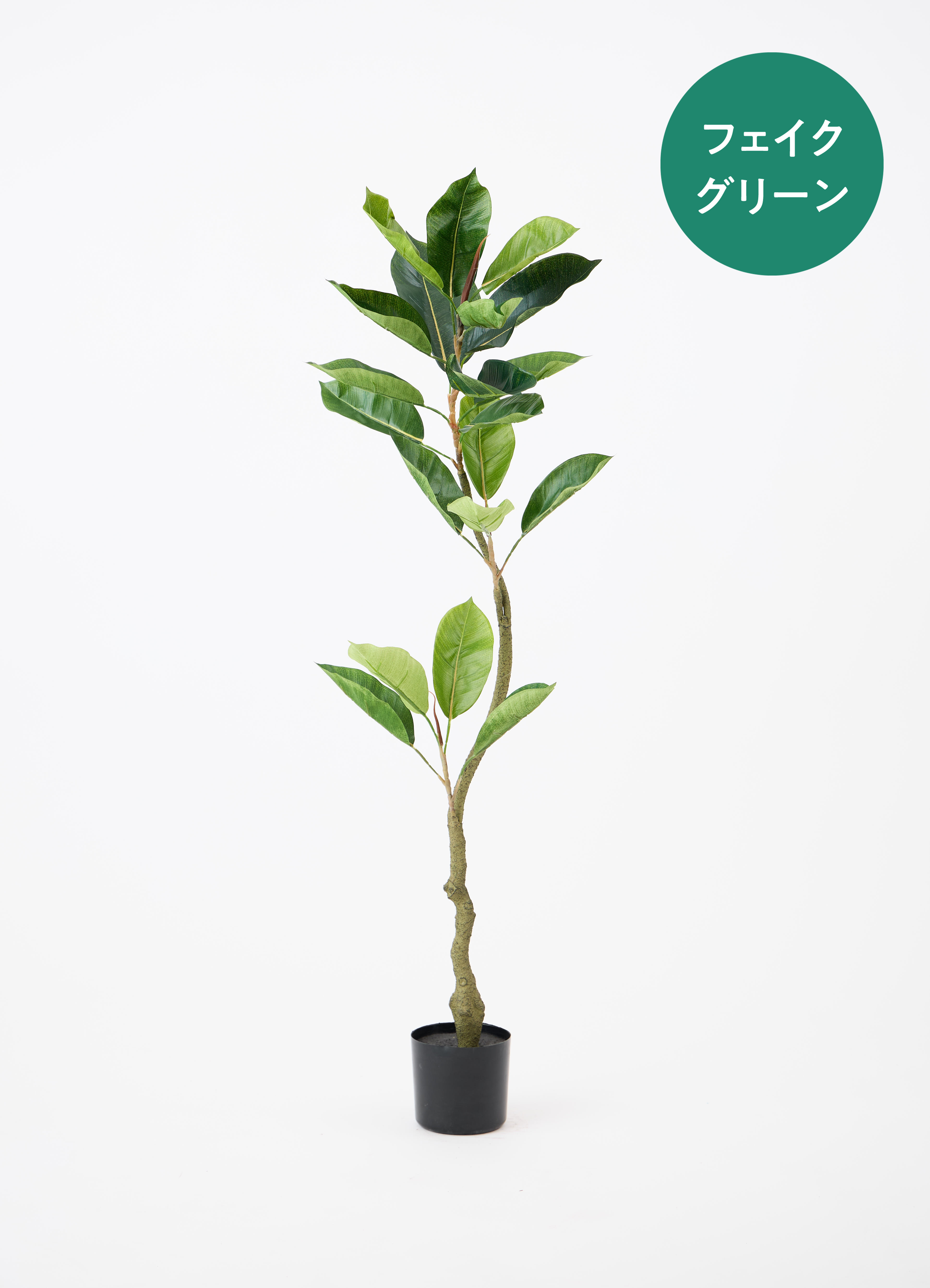 フェイクグリーン リーフ ツリー 人工観葉植物 屋外対応 フィカスツリー フィカス ベンジャミン ツリー 【法人様限定】 160cmフィカスツリー プラスチック  フェイクグリーン 人工樹木  《ポット 容器 は別売りです》 屋外対応