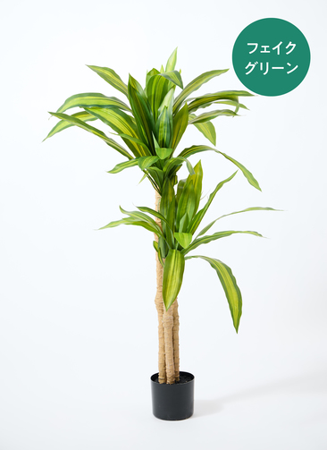光触媒　人工観葉植物　ウォールグリーン　フェイクグリーン　マッサン　幸福の木s fake-massangeana-12_0000.jpg?