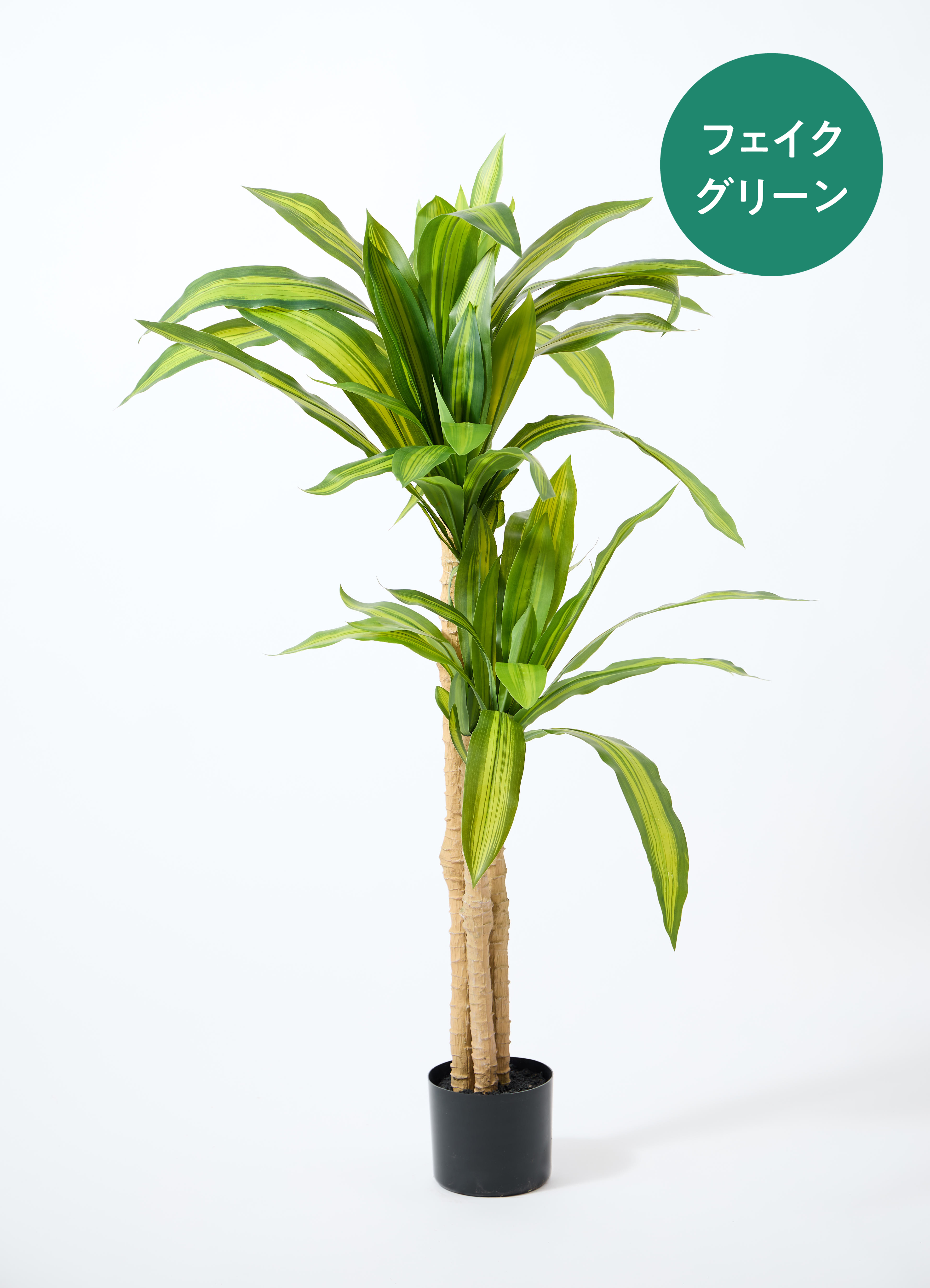 光触媒　人工観葉植物　ウォールグリーン　フェイクグリーン　マッサン　幸福の木s フラワー・ガーデニング