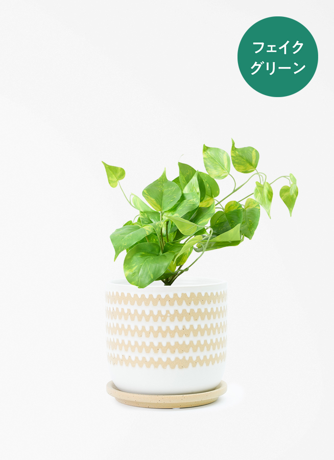 観葉植物【フェイクグリーン】ポトス 20cm インナ 15 G 付き