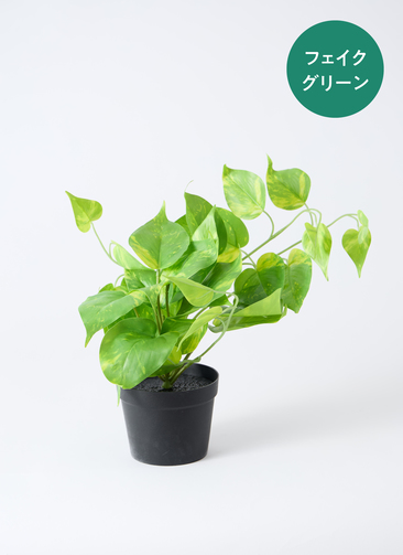 観葉植物【フェイクグリーン】ポトス 20cm ベースポット入り #A-51093