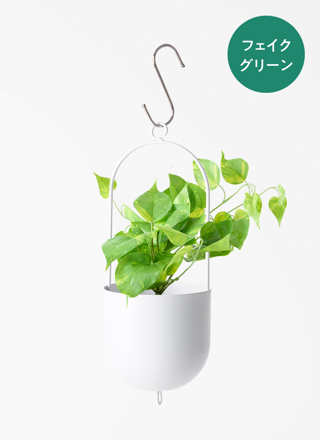 観葉植物 【フェイクグリーン】 ポトス 20cm ファンヌ ハンギング M W