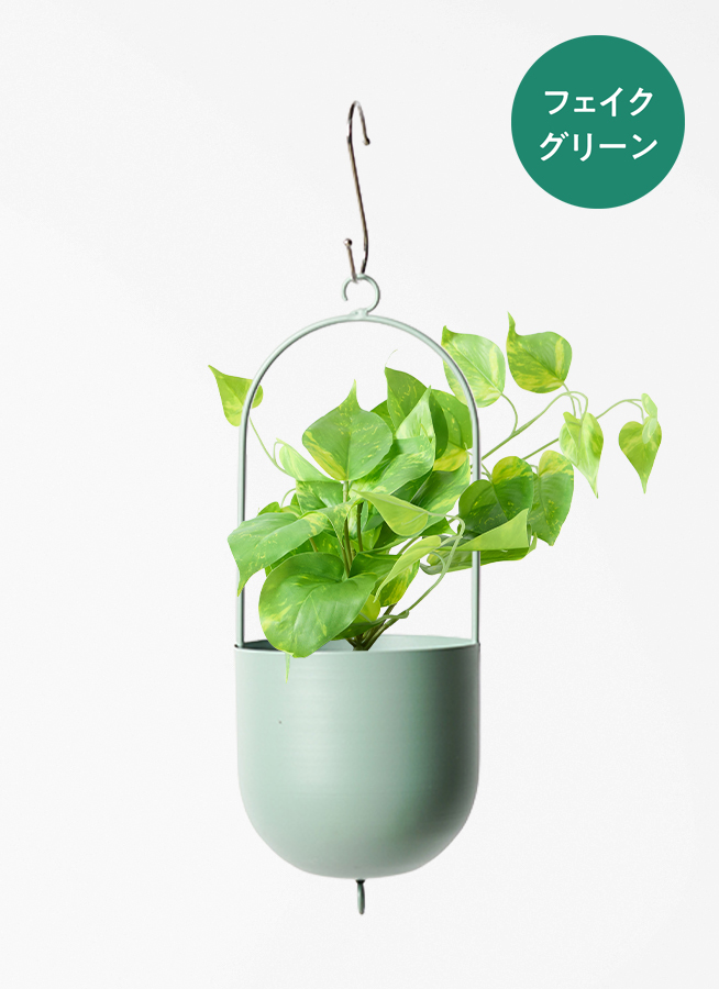 観葉植物 【フェイクグリーン】 ポトス 20cm インナ 15 W 付き | 観葉