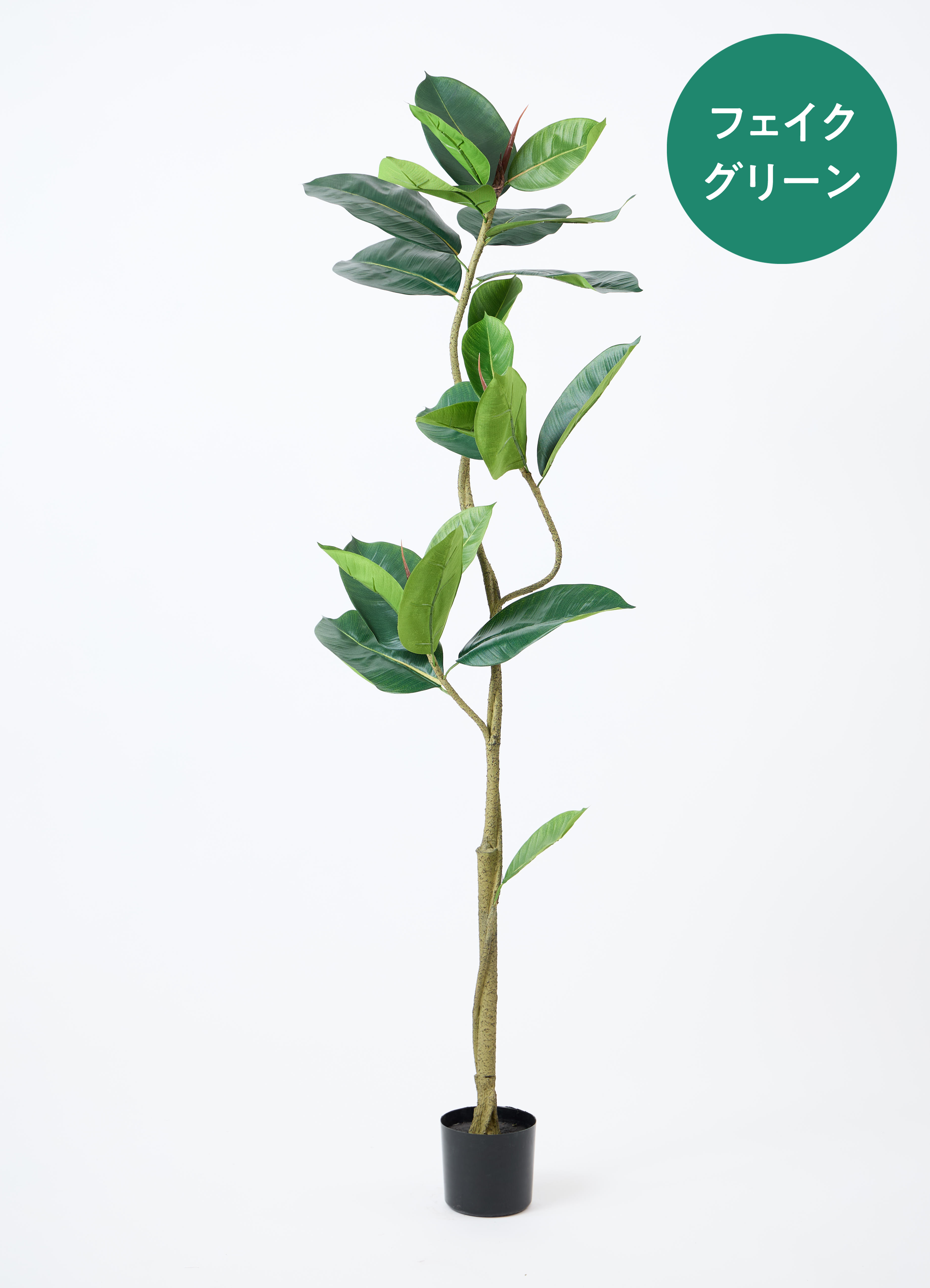 観葉植物【フェイクグリーン】フィカス（ゴムの木） 150cm ベース
