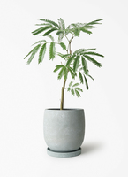 everfresh-1134_1.jpg?1774084168