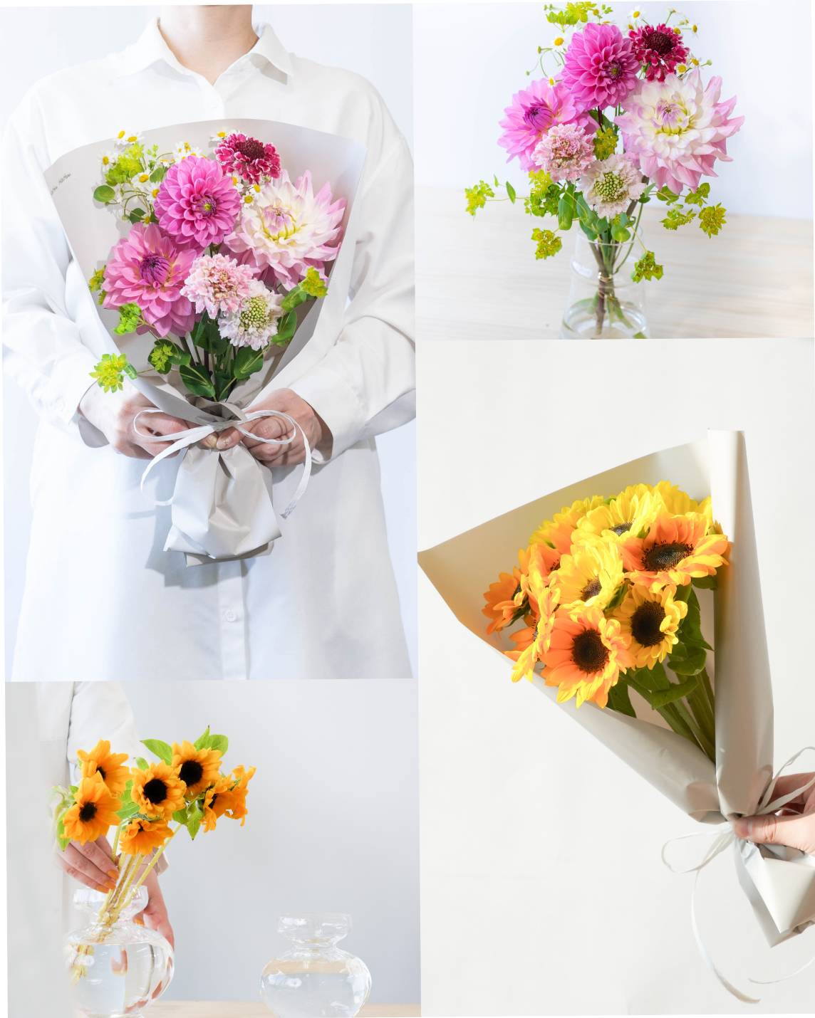 産地直送 2026 母の日・父の日定期便 ダリア スカビオサ 花束 ピンク