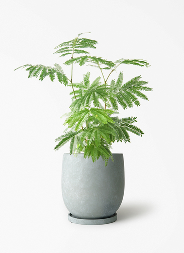 everfresh-1039_1.jpg?1780405632