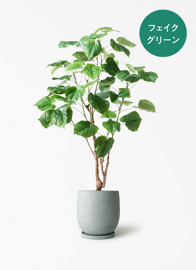 125cm ウンベラータ 大型フェイクグリーン 光触媒 ホワイトポット 屋内保管 観葉植物【フェイクグリーン】ウンベラータ 120cm ラスターポット 付き
