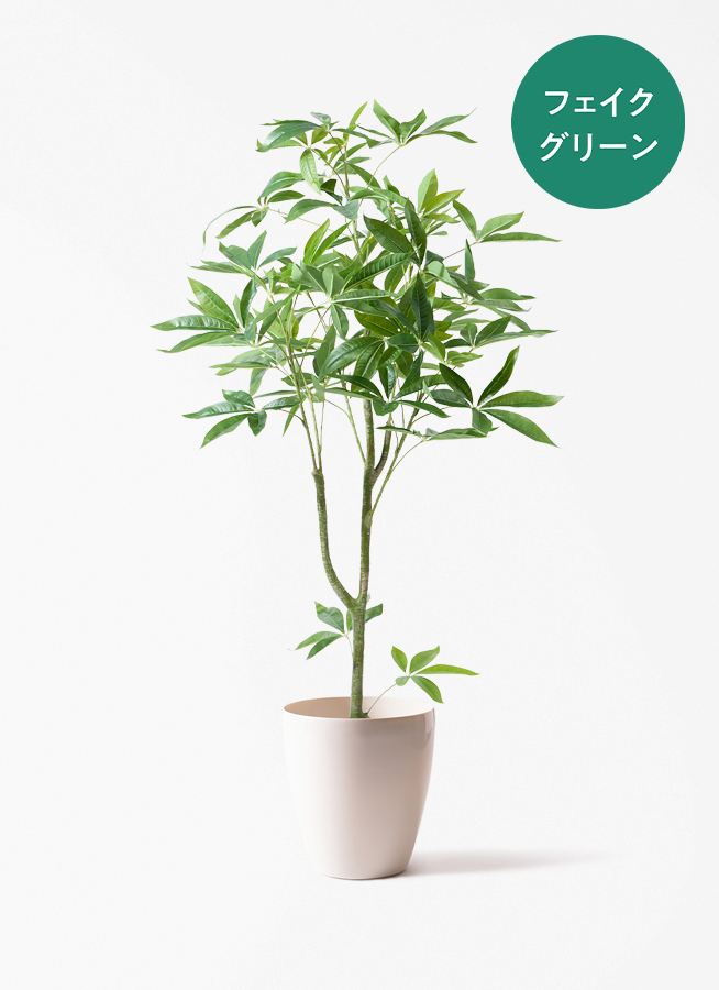 観葉植物【フェイクグリーン】パキラ 120cm アイルエッグ ライトブルー