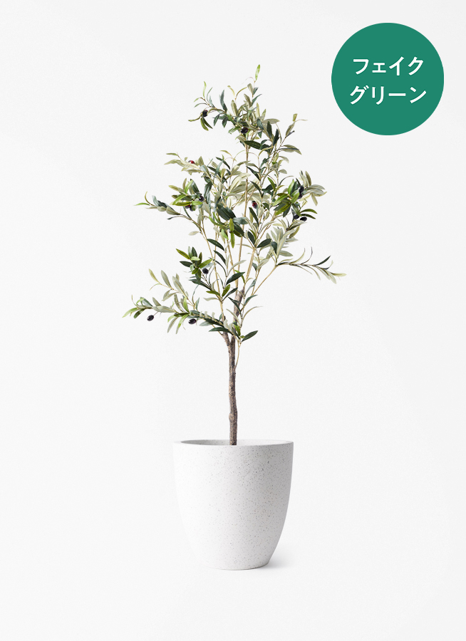 観葉植物【フェイクグリーン】オリーブ 実付き 115cm アイルエッグ
