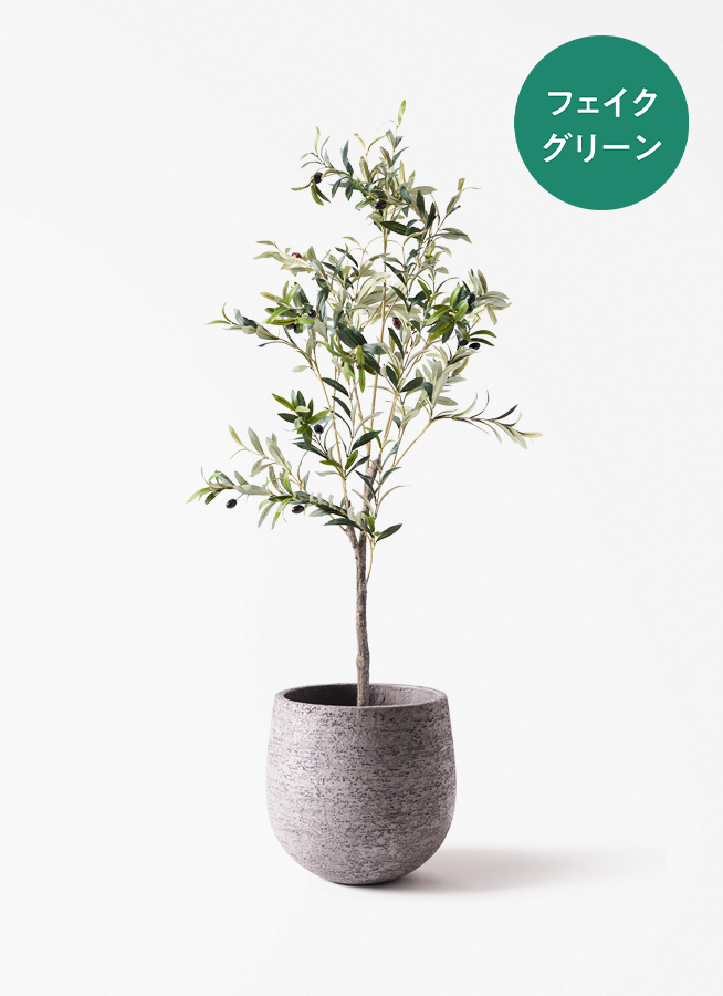 観葉植物【フェイクグリーン】オリーブ 実付き 115cm アイルエッグ