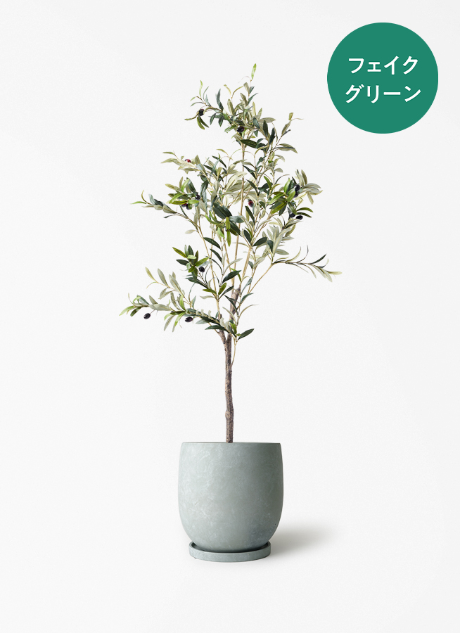 観葉植物【フェイクグリーン】オリーブ 実付き 115cm アイルエッグ