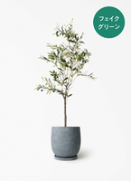 観葉植物【フェイクグリーン】オリーブ 実付き 115cm アイルエッグ