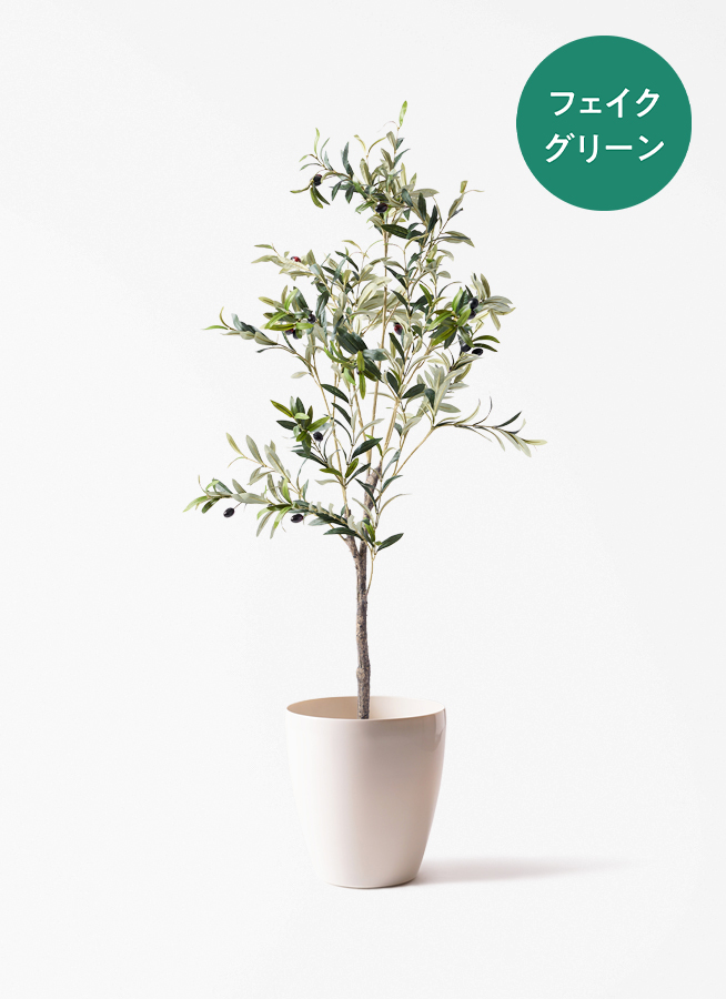 フェイクグリーン　オリーブ 観葉植物【フェイクグリーン】オリーブ 実付き 115cm アイルエッグ