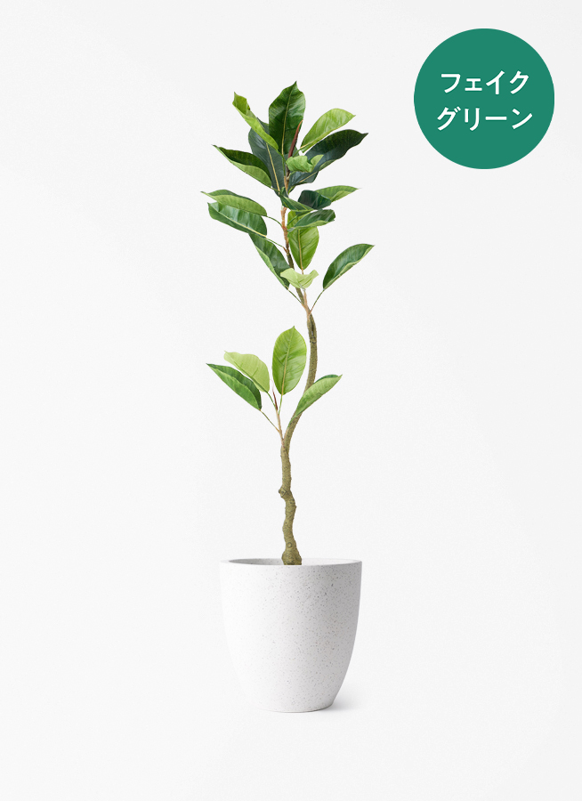 観葉植物【フェイクグリーン】フィカス（ゴムの木） 120cm ベース