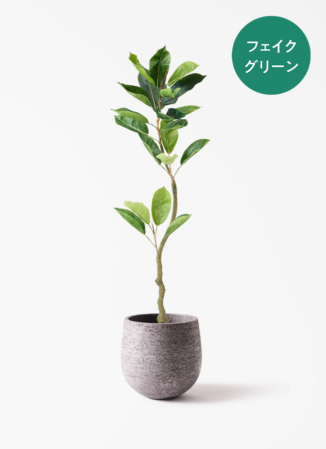 観葉植物 フェイク FICUS フィカス 観葉植物【フェイクグリーン】フィカス（ゴムの木） 120cm ベース