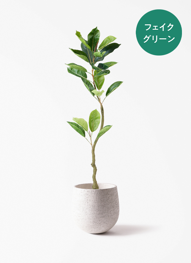 観葉植物【フェイクグリーン】フィカス（ゴムの木） 120cm ラスター