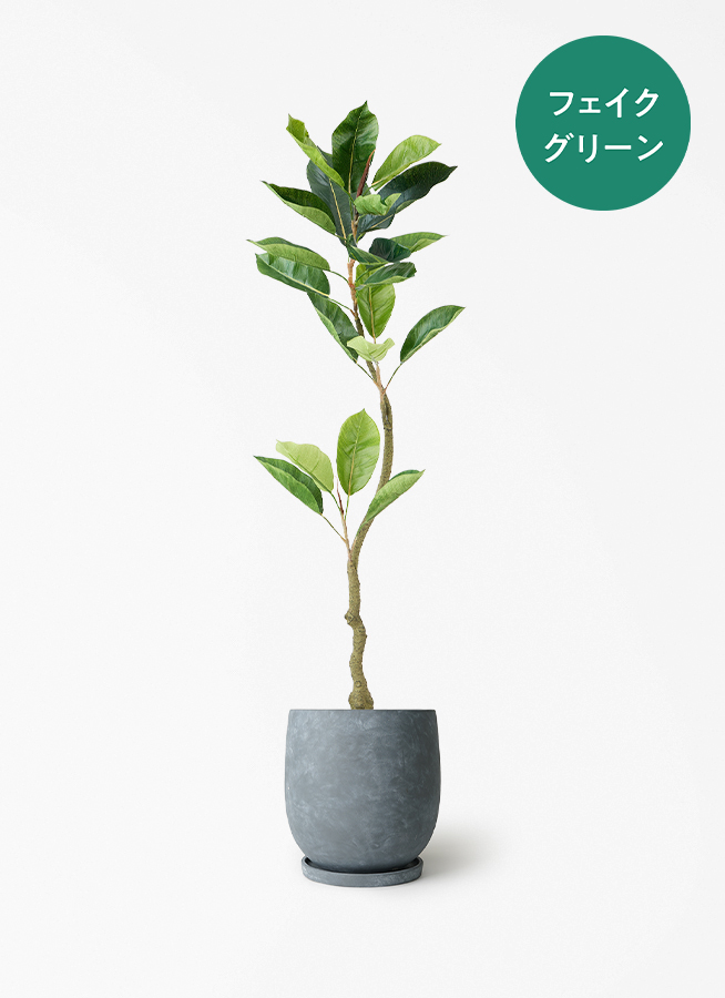 観葉植物【フェイクグリーン】フィカス（ゴムの木） 120cm ベース