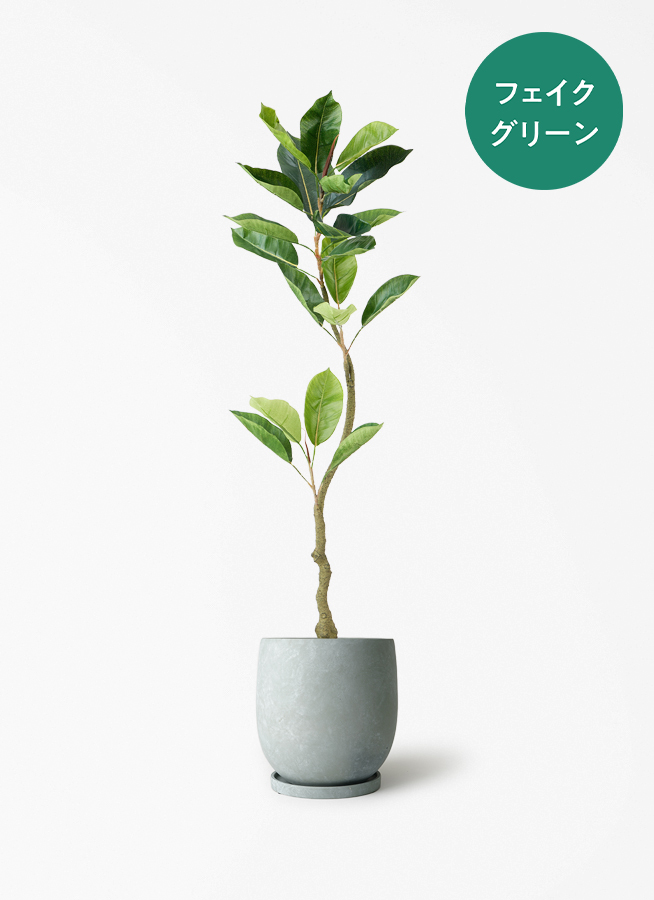 観葉植物【フェイクグリーン】フィカス（ゴムの木） 120cm ベース