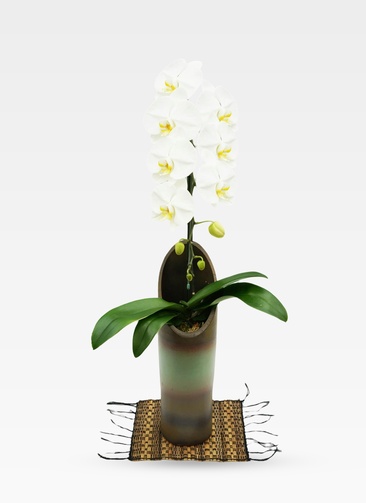 プラ鉢 植木鉢 28個セット ホワイト 縦ライン模様 胡蝶蘭 large-flower-white-12_2222.jpg