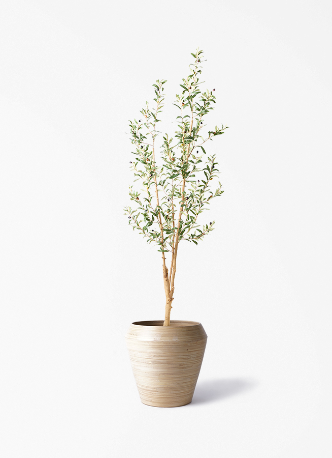 観葉植物【フェイクグリーン】オリーブ 実付き 天然木ベース 180cm