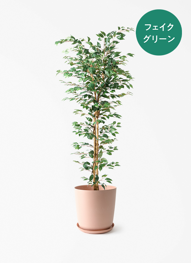 観葉植物【フェイクグリーン】ベンジャミン 天然木ベース 180cm