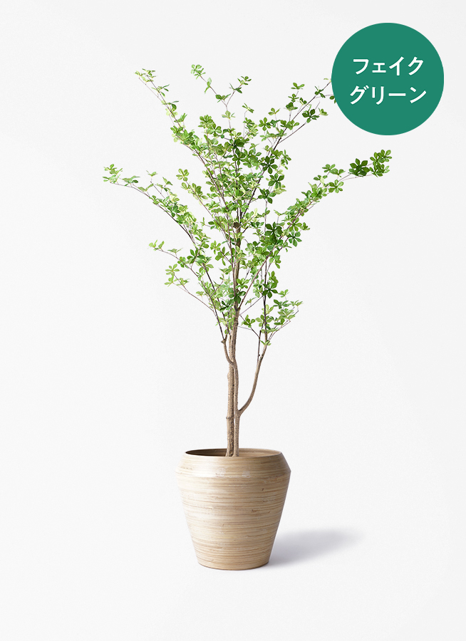 観葉植物【フェイクグリーン】ドウダンツツジ 190cm ウッドプランター
