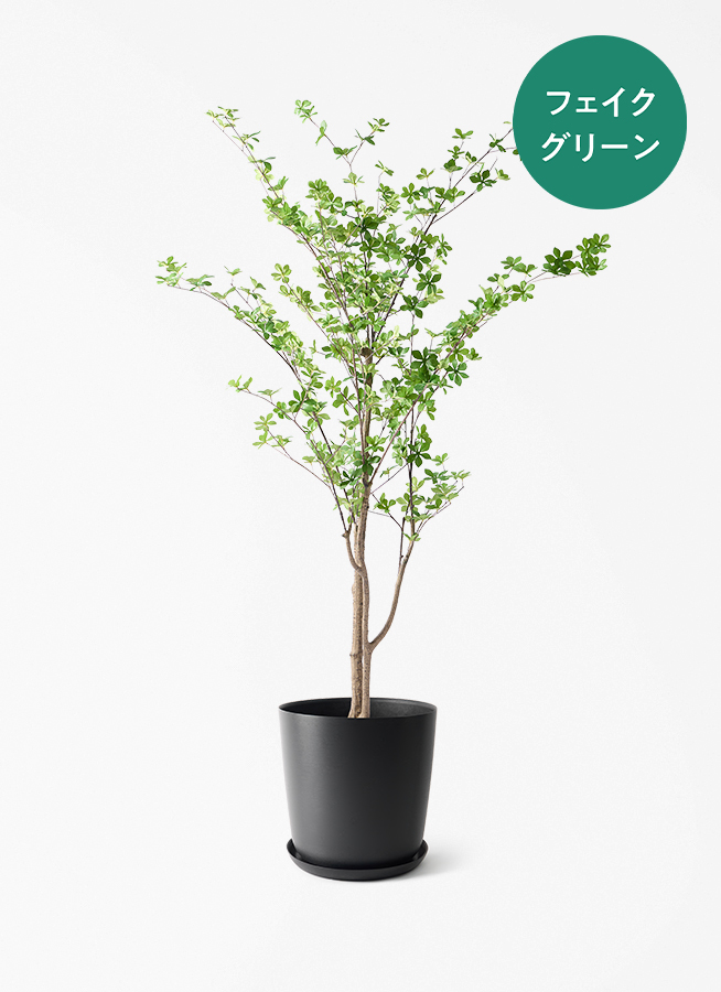 光触媒　人工観葉植物　ウ　フェイクグリーン　ドウダンツツジ200FST フェイクグリーン ドウダンツツジ 190cm ウッドプランター 付き ※東京