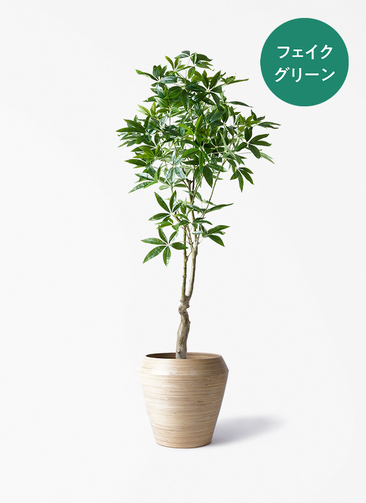 観葉植物【フェイクグリーン】パキラ 180cm アルマ ミドル 付き | 観葉