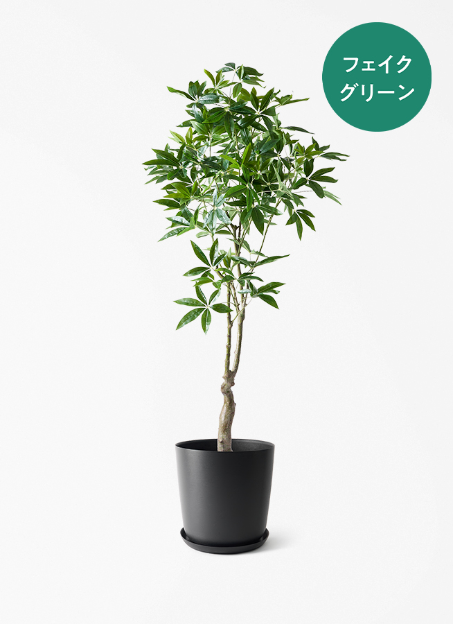 観葉植物【フェイクグリーン】パキラ 180cm ラスターポット 付き