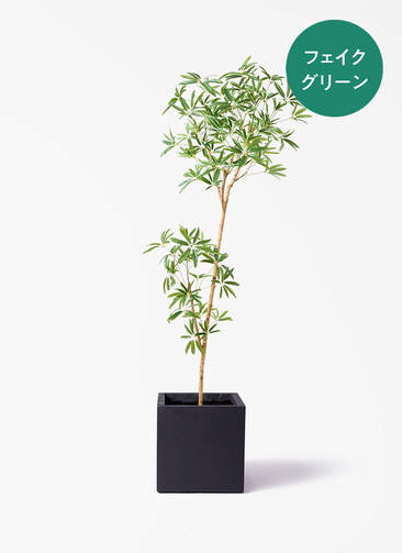 観葉植物【フェイクグリーン】シェフレラ 天然木ベース 180cm ベータ