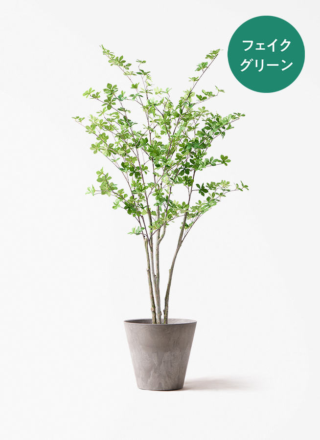 fake-enkianthus-46_0000.jpg?