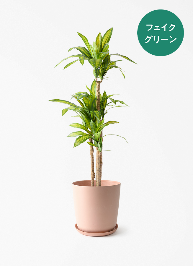 観葉植物 【フェイクグリーン】 ドラセナ 幸福の木 150cm エステリ
