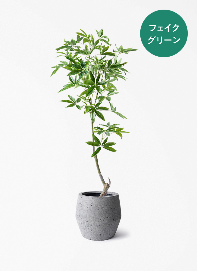 フェイクグリーン　パキラ　110cm 観葉植物【フェイクグリーン】パキラ 150cm パボ ジャー ラテル