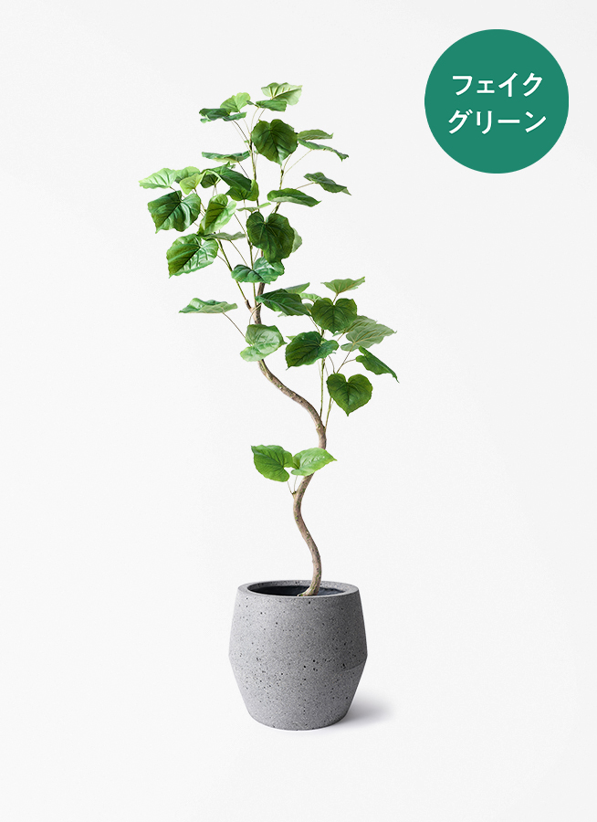 観葉植物 観葉植物【フェイクグリーン】ウンベラータ 曲り 150cm パボ ジャー