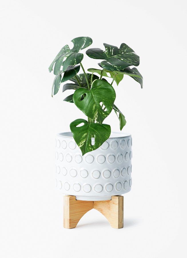 観葉植物【フェイクグリーン】モンステラ 30cm レータ 15 W &amp