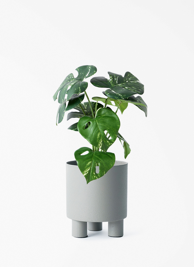 観葉植物【フェイクグリーン】モンステラ 30cm オウティ 12 G グリーン