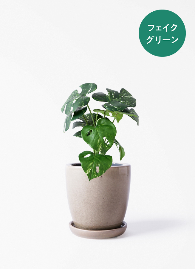 観葉植物【フェイクグリーン】モンステラ 30cm オウティ 12 G グリーン
