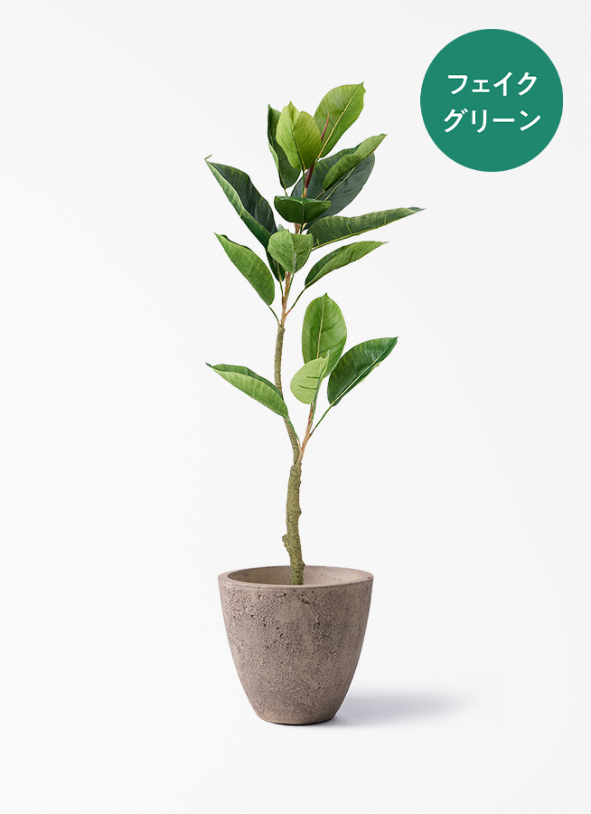 フィカス a 観葉植物【フェイクグリーン】フィカス（ゴムの木） 90cm ベースポット