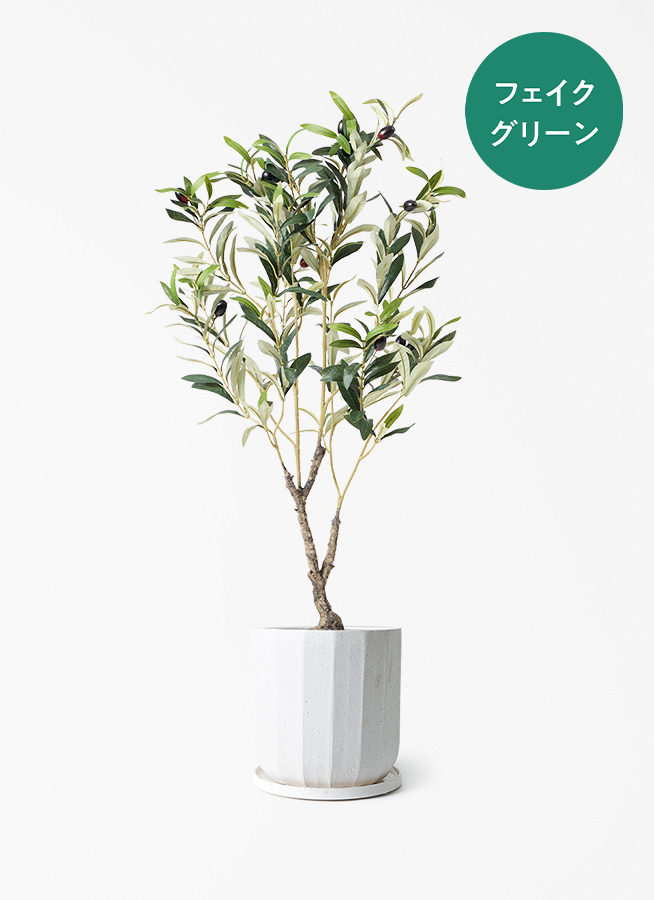 観葉植物【フェイクグリーン】オリーブ 実付き 80cm フリットエッグ