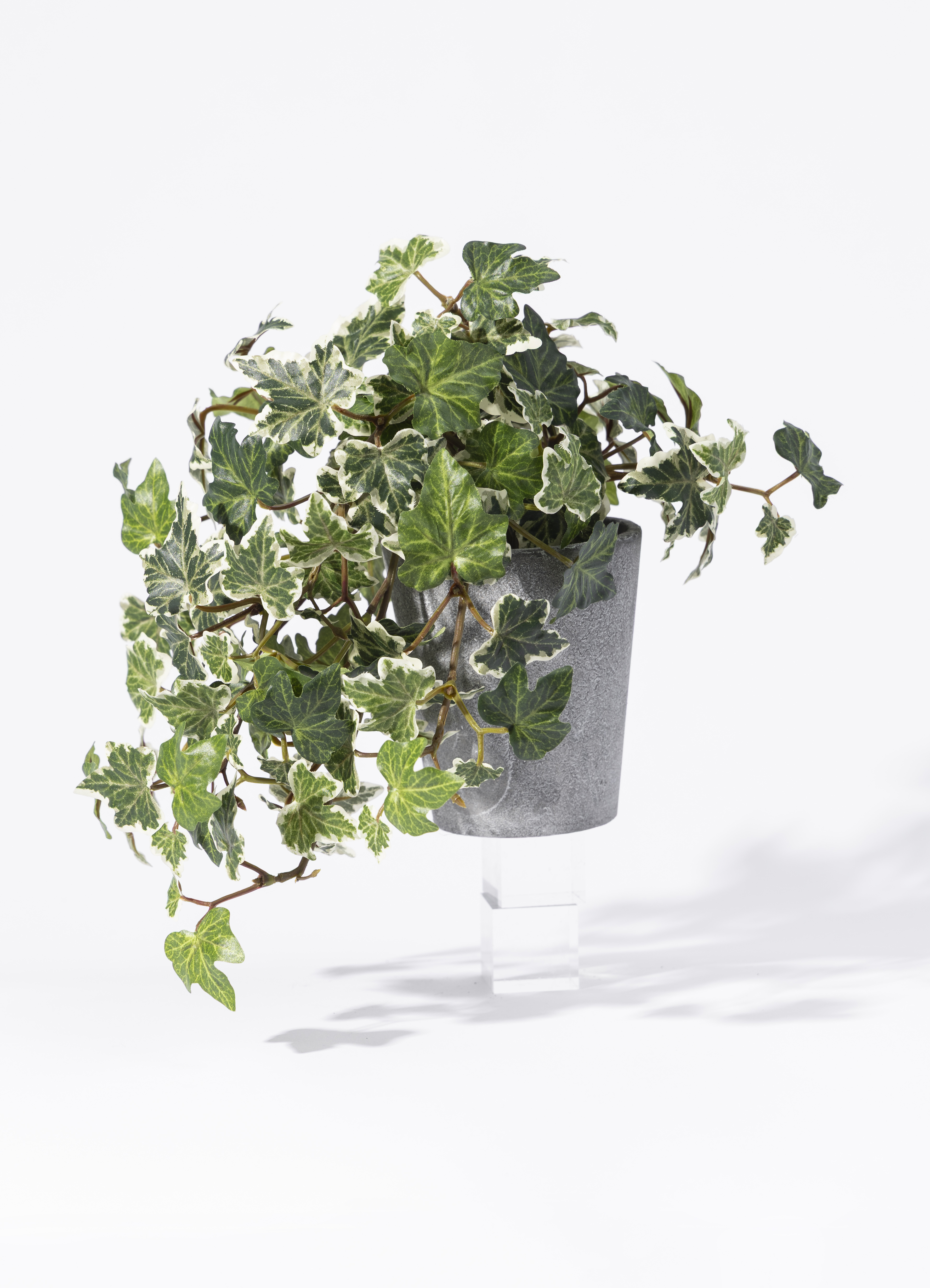 観葉植物 【フェイクグリーン】 アイビー 25cm エメリ 14 S カーキ