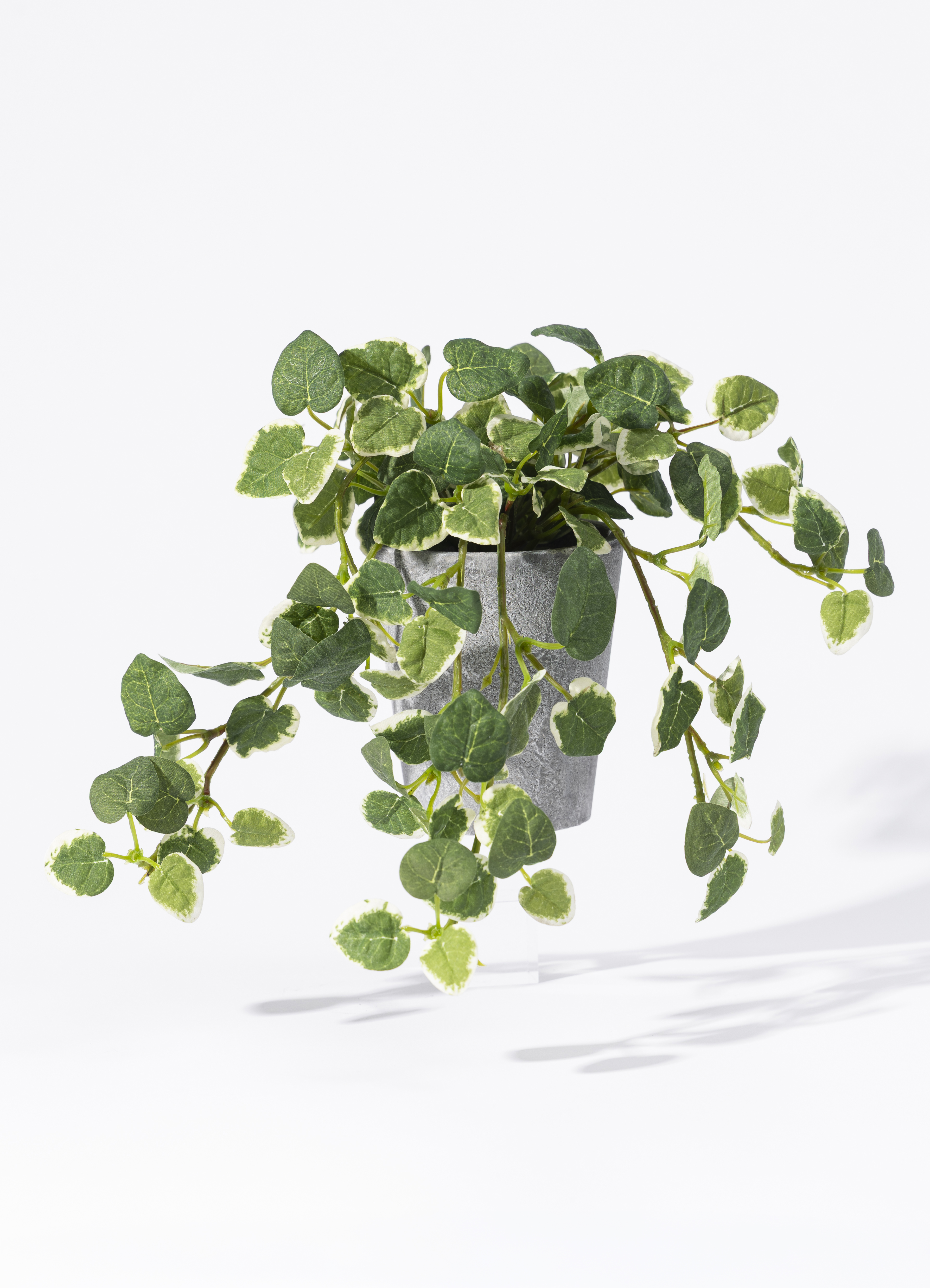 観葉植物【フェイクグリーン】フィカス プミラ ベースポット入り 25cm