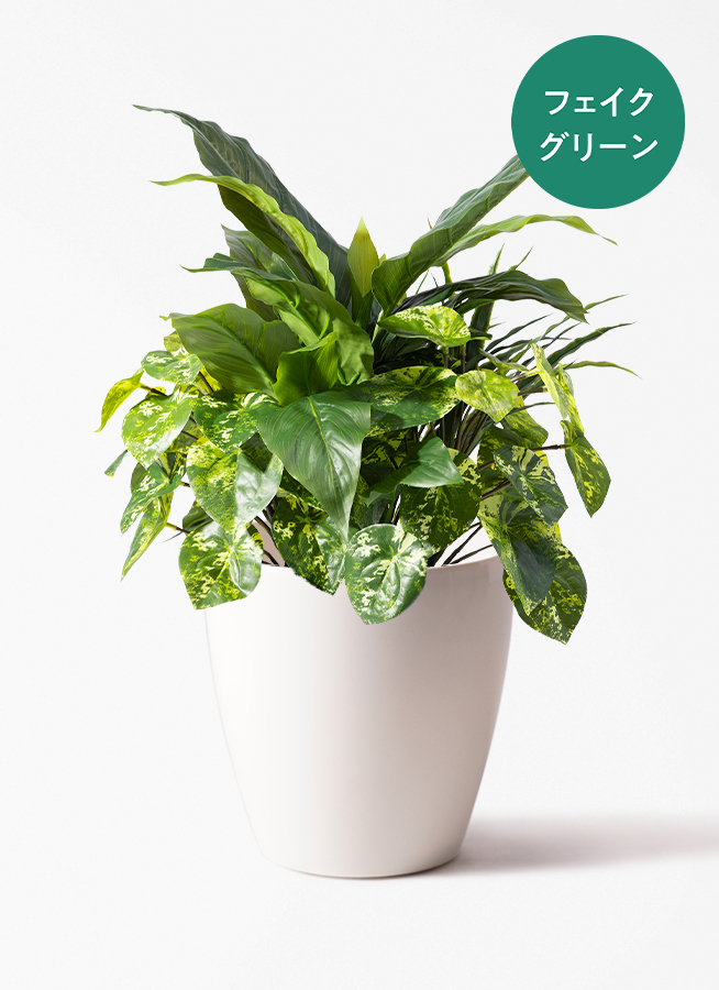 観葉植物 【フェイクグリーン】 ドラセナ 寄せ植え 45cm ラスター