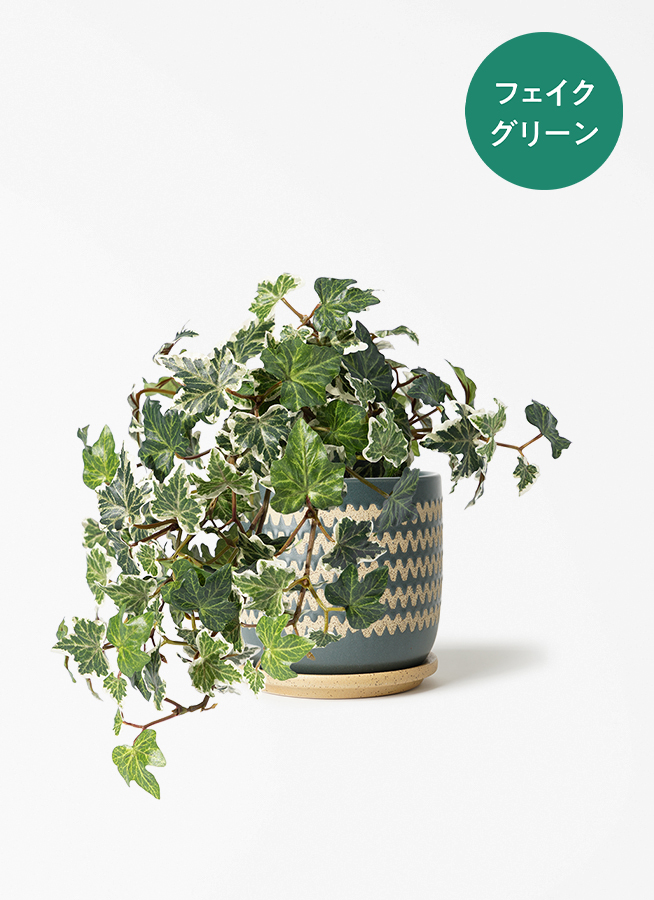 観葉植物 【フェイクグリーン】 アイビー 25cm ラーケルシリンダー 15