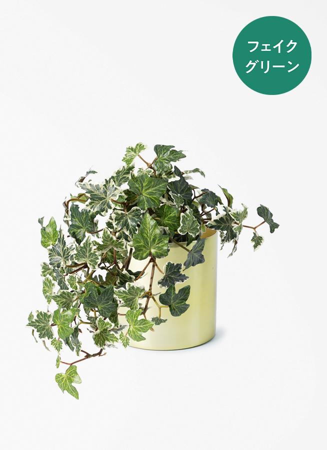 観葉植物 【フェイクグリーン】 アイビー 25cm ラーケルシリンダー 15