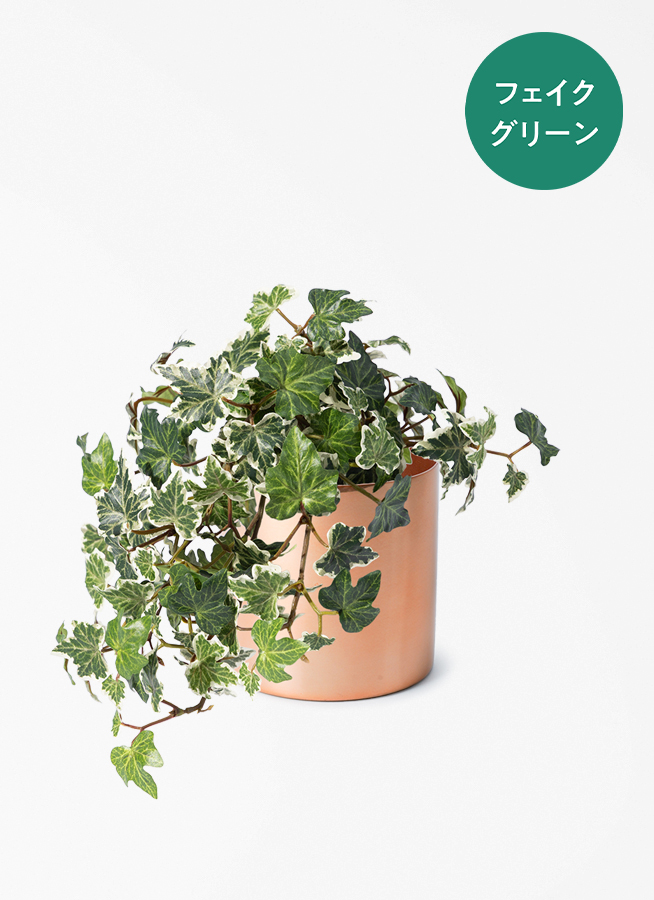 観葉植物 【フェイクグリーン】 アイビー 25cm ラダ 15 C ブラウン