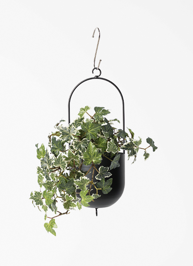 観葉植物 【フェイクグリーン】 アイビー 25cm ファンヌ ハンギング