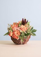 rose-orange-132_1.jpg?1591162800