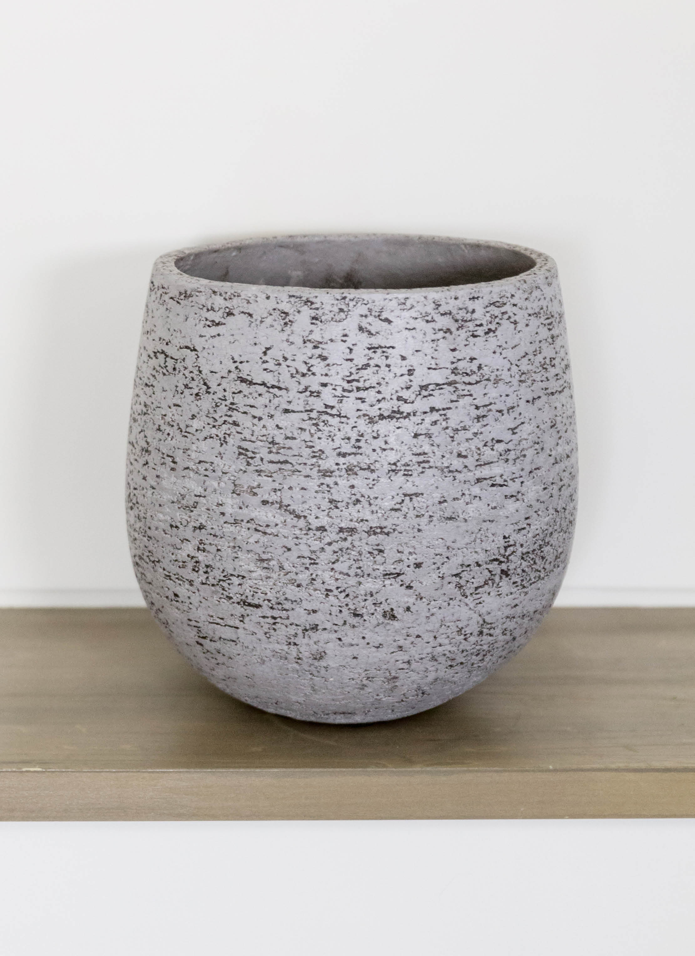 観葉植物 ストレリチア (ストレチア) レギネ 6号 エコストーン