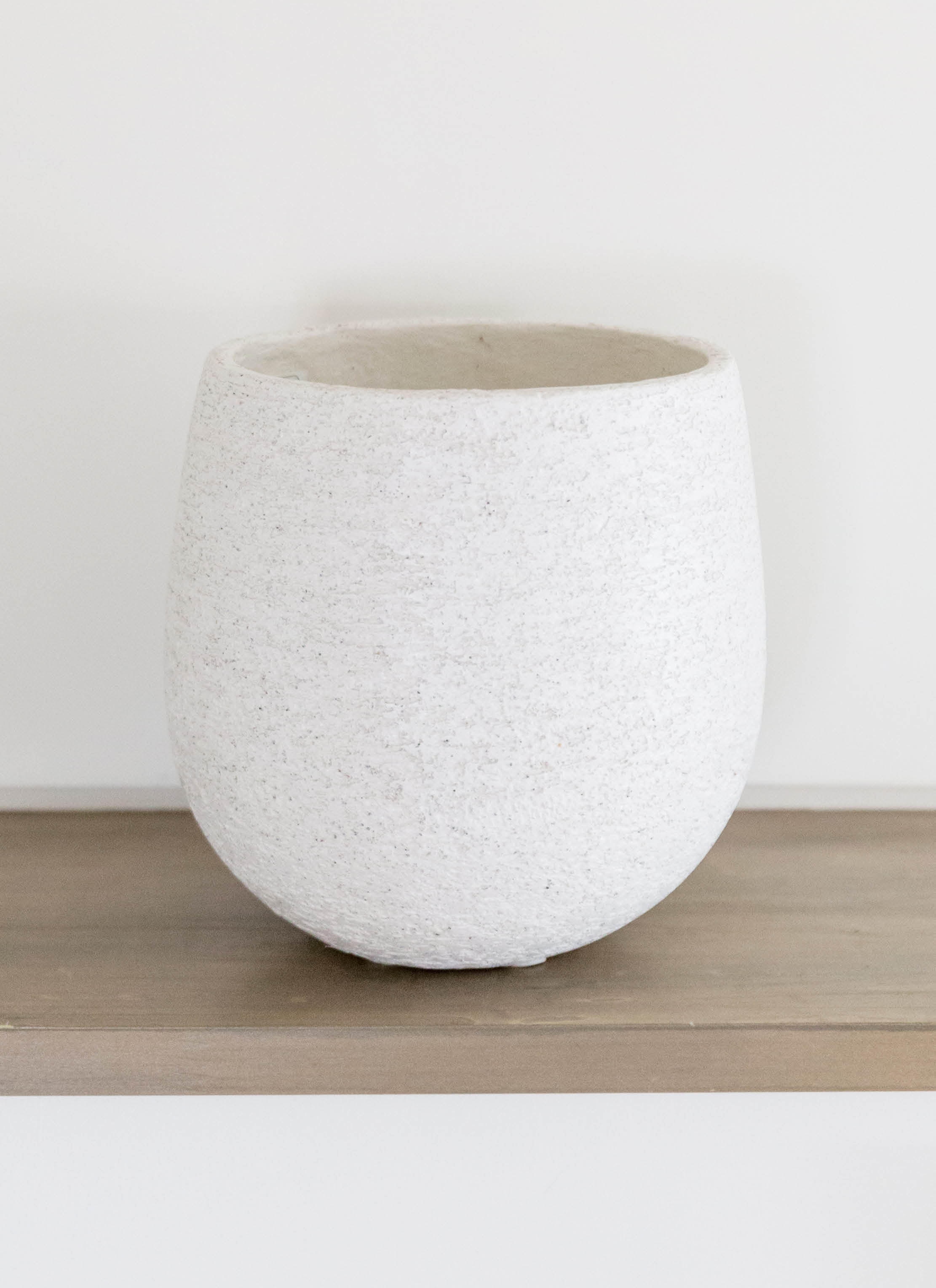 観葉植物 ユーカリ 6号 ポポラス（ポリアンセモス） Eco Stone（エコ